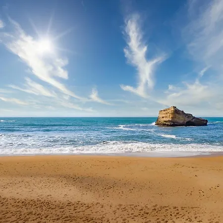 Magnifique Avec Terrasse, Parking Et Vue Sur L'ocean Pour 6 Appartement *