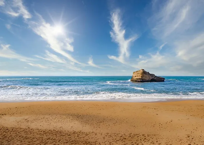 Magnifique Avec Terrasse, Parking Et Vue Sur L'ocean Pour 6 Apartamento *