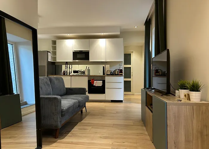 Magnifique Avec Terrasse, Parking Et Vue Sur L'ocean Pour 6 * Biarritz